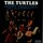 Cover for Happy Together by The Turtles